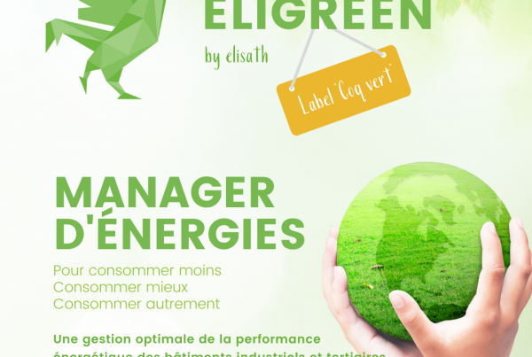 VISUEL ELIGREEN