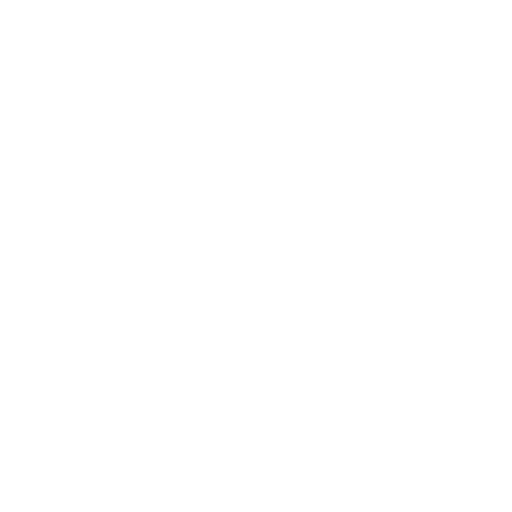 bolt 1